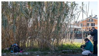 Român împușcat Roma