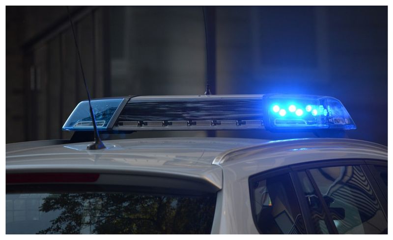 Câine bătut Suceava