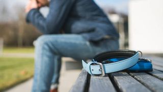 Lege animale bătute