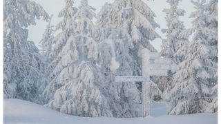 Ninsoare februarie Rom&acirc;nia