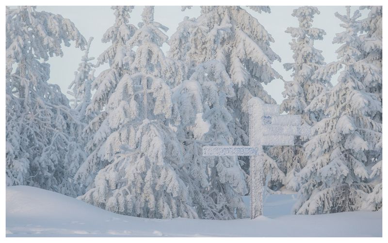 Ninsoare februarie România