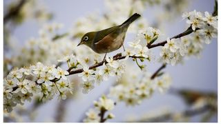 Vremea se &icirc;ncălzește