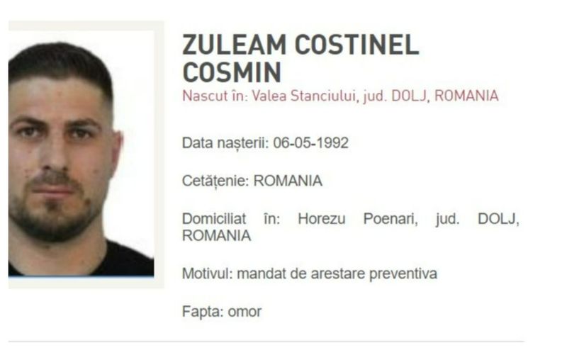 Pont crimă Adrian Kreiner