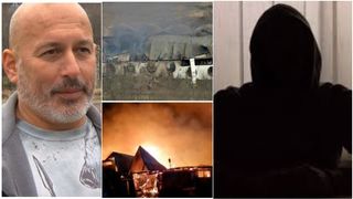 Trei martori cu identități protejate susțin ipoteza lui Cornel Dinicu, patronul de la Ferma Dacilor.