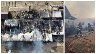 Funcționară reținută în dosarul incendiului de la Ferma Dacilor. Legăturile dubioase descoperite de anchetatori