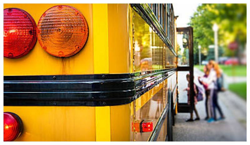 Protest elevi transport gratuit