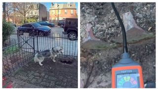 C&acirc;ine erou explozie