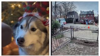 C&acirc;ine erou explozie