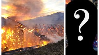 Cine este funcţionara care a dat avizele pentru extinderea Fermei Dacilor? Femeia a fost arestată preventiv