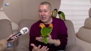VIDEO- Artistul cu casa plină de necuv&acirc;ntătoare. Nicolae Turcu are o mare pasiune pentru papagali și căței