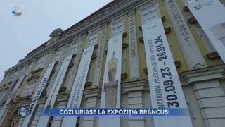 VIDEO- Cozi uriașe la expoziția lui Br&acirc;ncuși. Lumea așteaptă ore &icirc;ntregi pentru a admira operele de artă