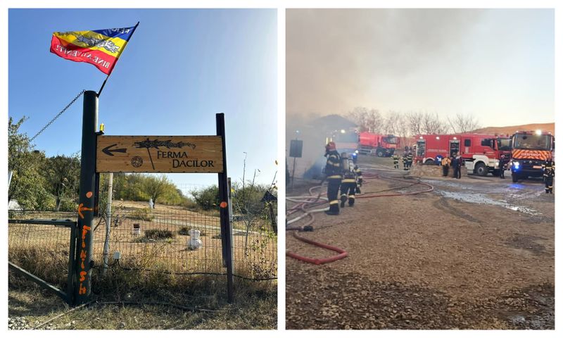 Soți vinovați Ferma Dacilor