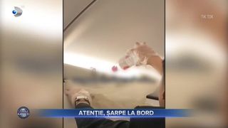 VIDEO- Atenție, șarpe la bord! Mai mulți oameni au trăit spaima vieții într-un avion din Thailanda