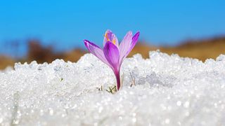 Vreme de primăvară &icirc;n Rom&acirc;nia! După săptăm&acirc;ni de ger, meteorologii anunță temperaturi de p&acirc;nă la 19 grade