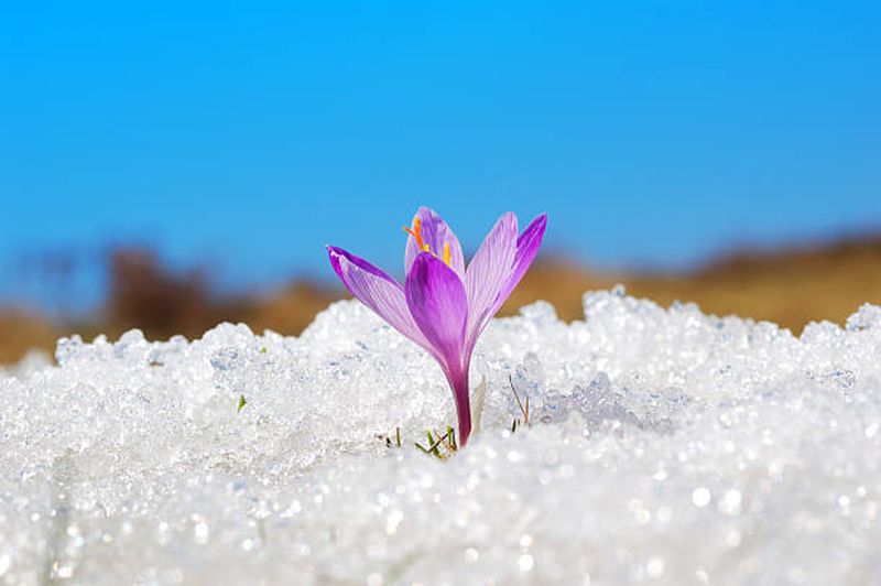 Vreme de primăvară în România! După săptămâni de ger, meteorologii anunță temperaturi de până la 19 grade