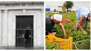 Cuplu de români, afaceri ilegale, după ce angajau la negru oameni săraci: "Munceau ca la maraton"