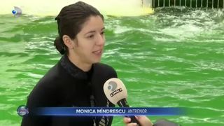 VIDEO - Meniu de iarnă pentru delfini. Cu ce sunt răsfățate simpaticele mamifere de la Delfinariul din Constanța?