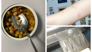 Invazie ploșnițe cămin București