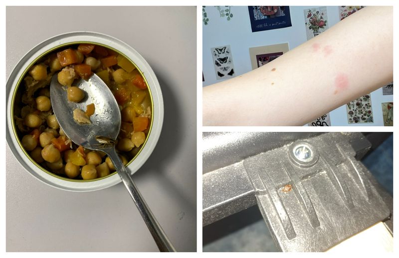 Invazie ploșnițe cămin București