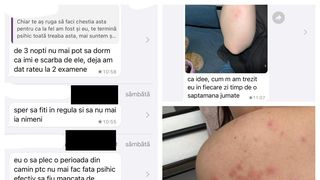 Invazie ploșnițe cămin București