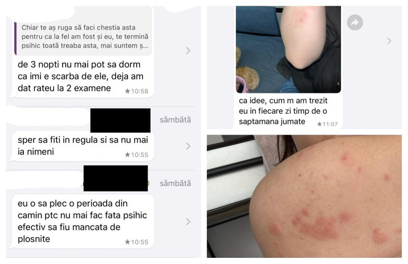 Invazie ploșnițe cămin București