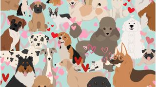 Ai un IQ peste medie dacă găsești pisica dintre căței &icirc;n maxim 20 de secunde