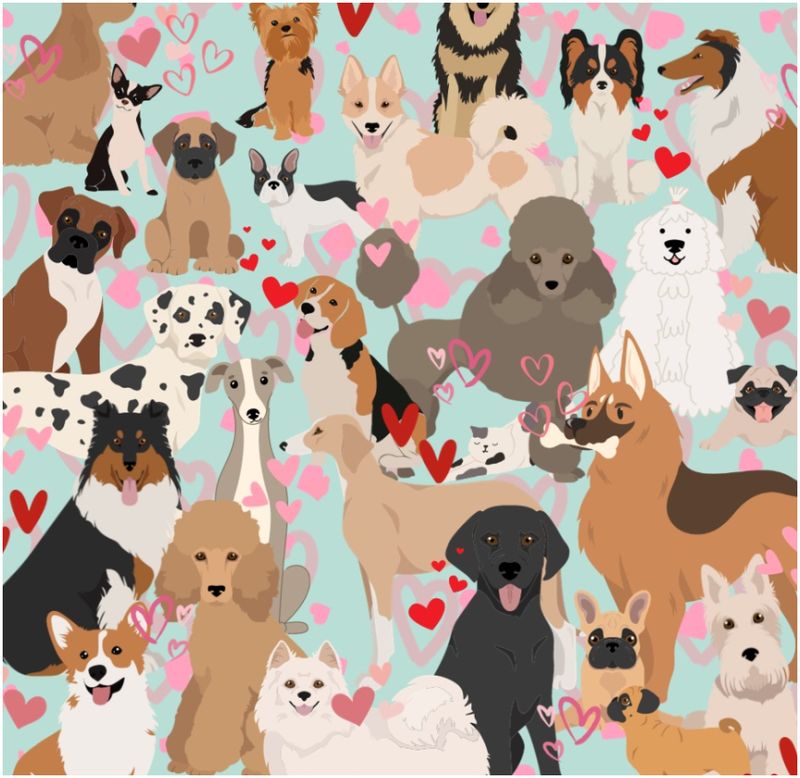 Ai un IQ peste medie dacă găsești pisica dintre căței în maxim 20 de secunde