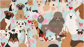 Ai un IQ peste medie dacă găsești pisica dintre căței în maxim 20 de secunde