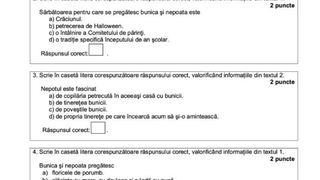 simulare evaluare nationala limba romana model braila
