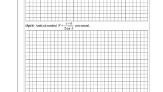simulare nationala 2024 model subiecte matematica