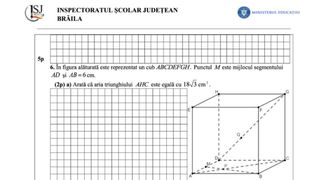 simulare nationala 2024 model subiecte matematica