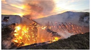 Matei mărturii anchetatori Ferma Dacilor