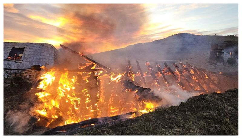 Matei mărturii anchetatori Ferma Dacilor