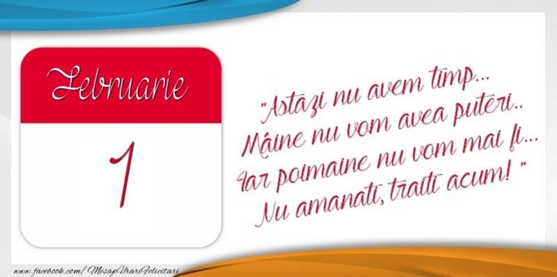 mesaj 1 februarie