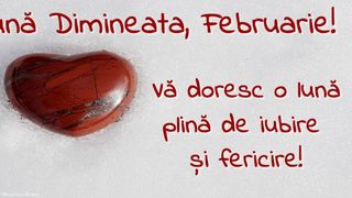 mesaje 1 februarie 