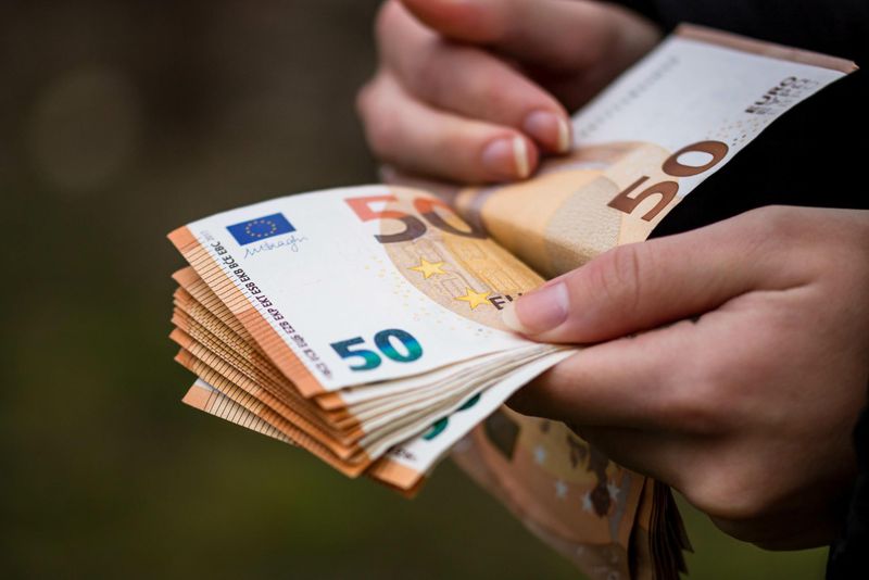 bani euro