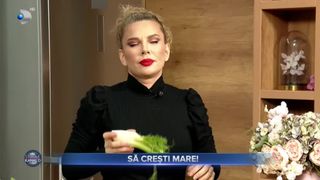 VIDEO- "Să crești mare". Rețetă delicioasă de sandvici cu ton împreună cu Alina Laufer
