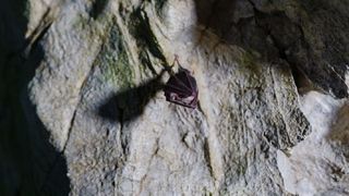 Emisiunea "ROventura", s&acirc;mbătă, de la ora 14:45: Polovragi, o veritabilă capitală a tradițiilor din Oltenia de sub Munte