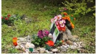 Cimitir animale Cluj