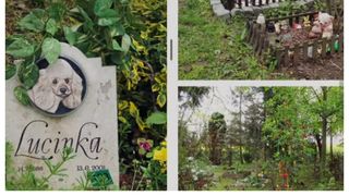 Cimitir animale Cluj 