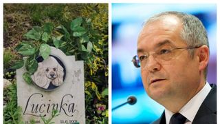 Primarul Emil Boc vrea un cimitir al animalelor în Cluj-Napoca. Ce părere au românii despre această inițiativă?