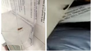 Gândaci spital Botoșani