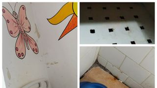 Gândaci spital Botoșani