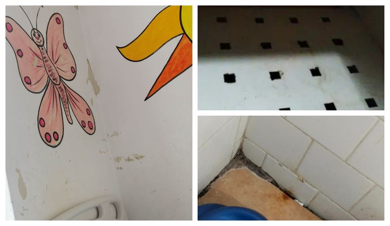 Gândaci spital Botoșani