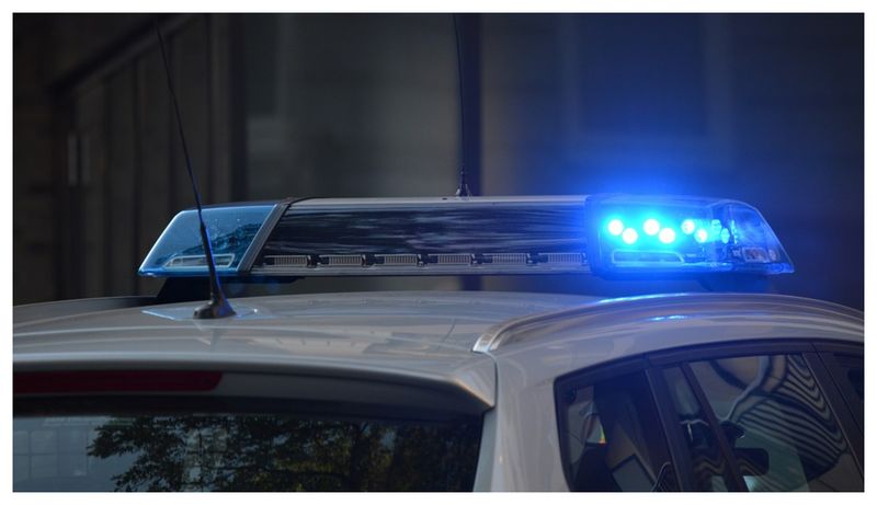 Rețea trafic cadavre SUA