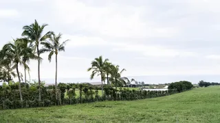 Locul unde Mark Zuckerberg &icirc;și construiește buncărul