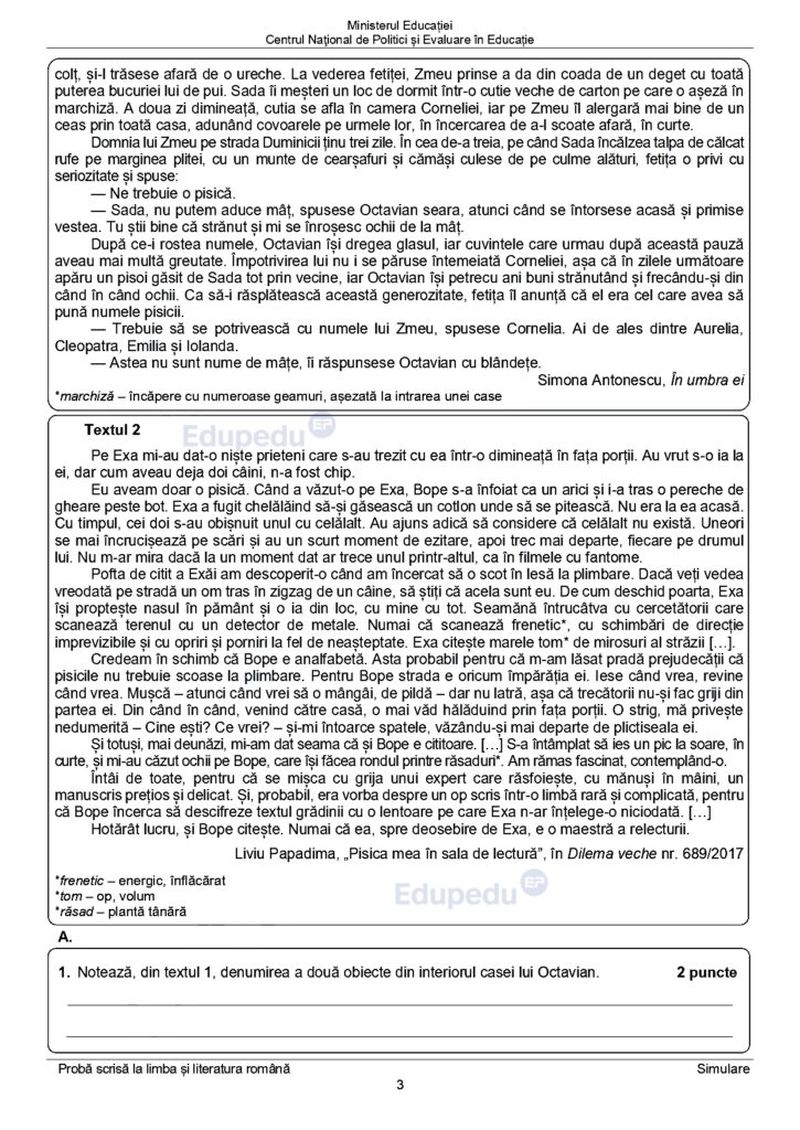 Subiecte simulare Română 2024 Evaluare Națională 