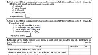 Subiecte simulare Română 2024 Evaluare Națională 