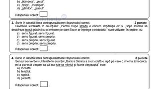 Subiecte simulare Română 2024 Evaluare Națională 