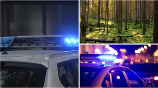 Caz șocant în Argeș! Tânără de 15 ani, dată dispărută, a fost găsită fără viață într-o pădure din apropierea locuinței